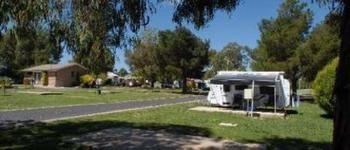 Fossicker Caravan Park Glen Innes Luaran gambar