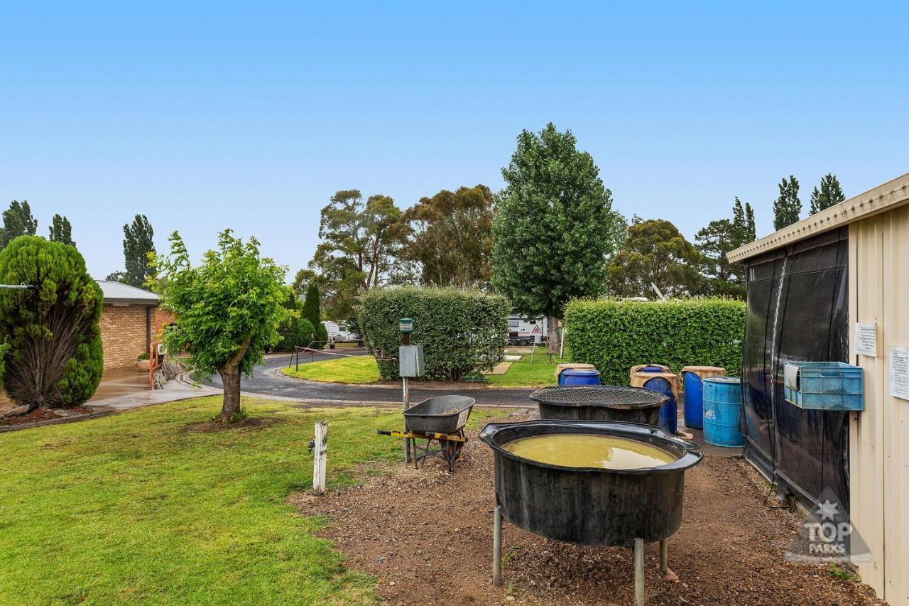 Fossicker Caravan Park Glen Innes Luaran gambar